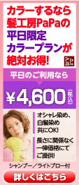 カラーが4600円！平日限定カラープランです。
